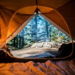 a view from inside of a tent