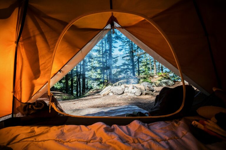 a view from inside of a tent