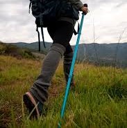 Best budget-friendly Trekking Poles