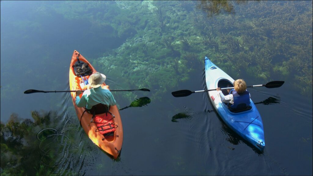 The 5 Best kayaks for Beginners and Pros Alike